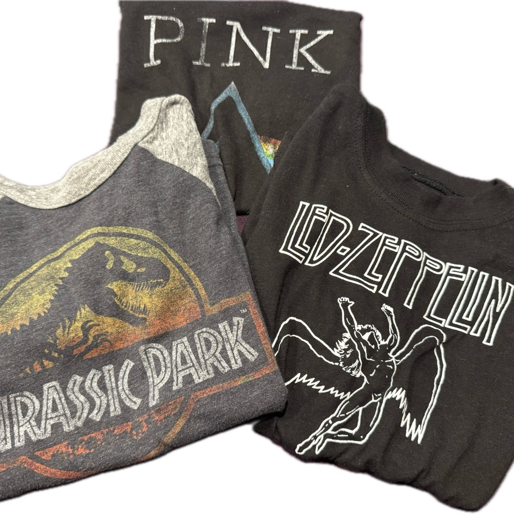 KIDS graphic T shirt bundle.
LEDZEPPLIN, PINK FLOYD, JURASSIC PARK
4T.